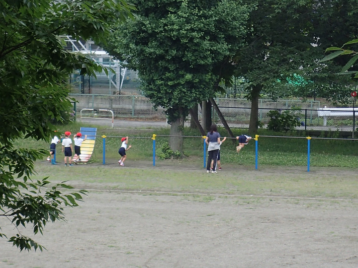 P6262827