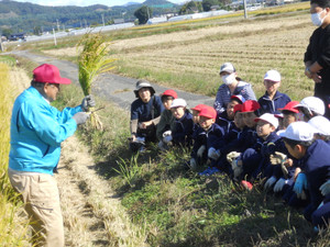 Dscn0673 Dscn0673