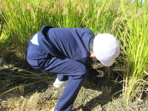 Img_6286 Img_6286