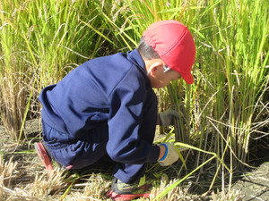 Img_6287 Img_6287