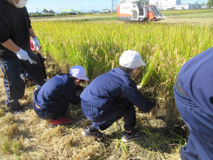 Img_6288 Img_6288