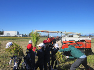 Img_6291 Img_6291